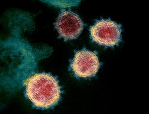 Images of the Virus that Disrupted the World by Design