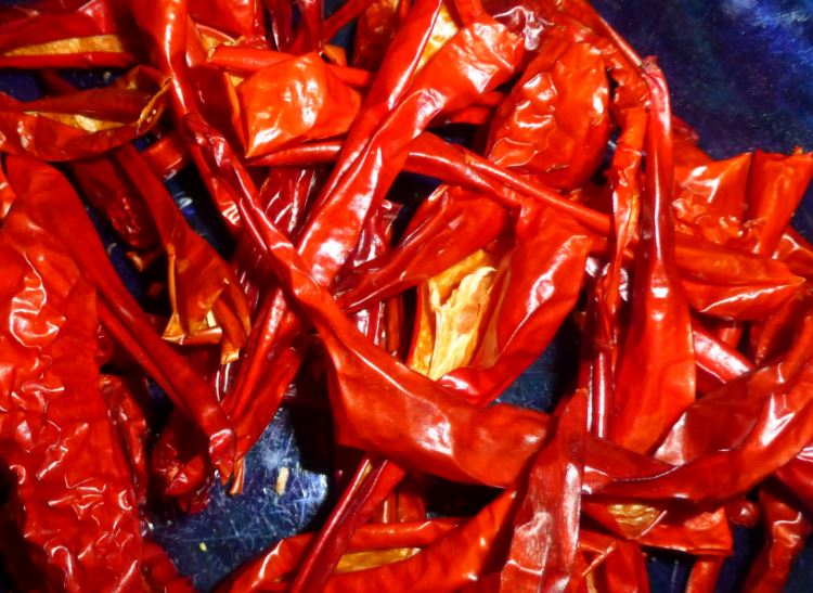Pepper Hunter Explores Kalocsa Paprika Vibrant Red Gold