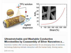 Is the Story of Nanowire Technology Prophesied?