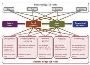 Synthetic Biology: Design for Destruction