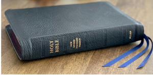 The New Modified-Divisive-Free Bible:  Nothing is Sacred Any Longer
