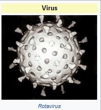 Perfect Cytokine Storm!  Skeleton Key Opens Pandora's Grim Reaper Box