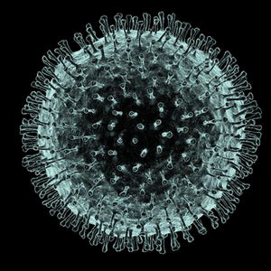 Weaponized Coronavirus and the Plant Destroyer Will Impact Agriculture