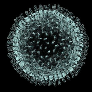 Global Depopulation is in Play