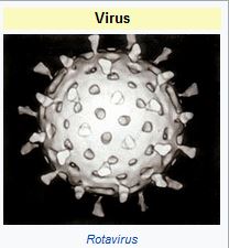 Breaking News:  DHS to Use Humanized Plant Vaccines to Quell Coronavirus