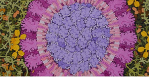 Novel Corona Virus Makes the Protein Data Bank