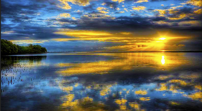 Follow Me to Paradise