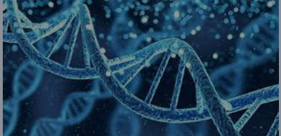 AI Deployed Hybrid Proteins to Wake Up Genetically Silenced Post-Humans