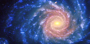 Extinction Clock is Ticking-Experts are Spooked
