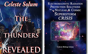 e-Book Bundle- 7 Thunders & EMR Protection