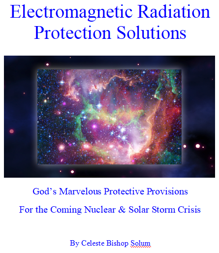 Electromagnetic Radiation Protection Solutions~eBook