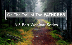 On The Trail of The Pathogen
